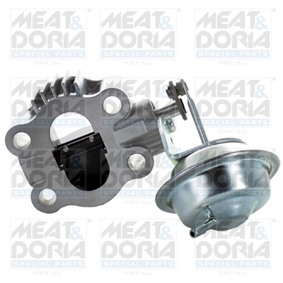 Exhaust Gas Door